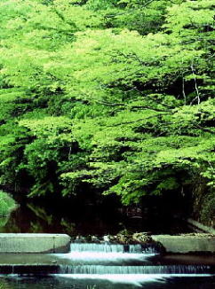 風景：兵庫県佐用郡三日月町（現・佐用市）